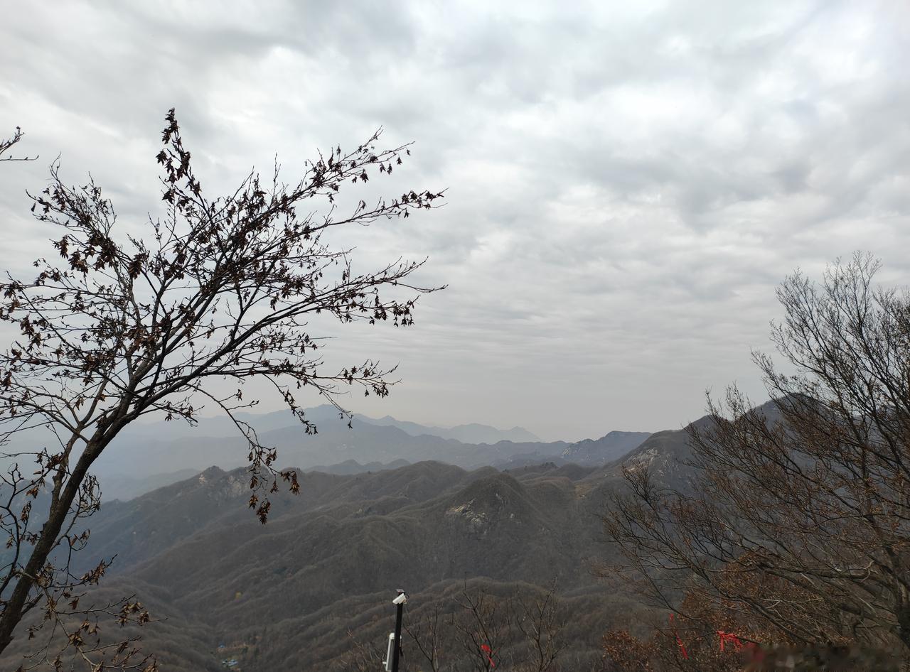 男子开奥迪被婚车队当头车跟到工厂[可爱]张先生正常开车上班，途中看到有结婚的车队