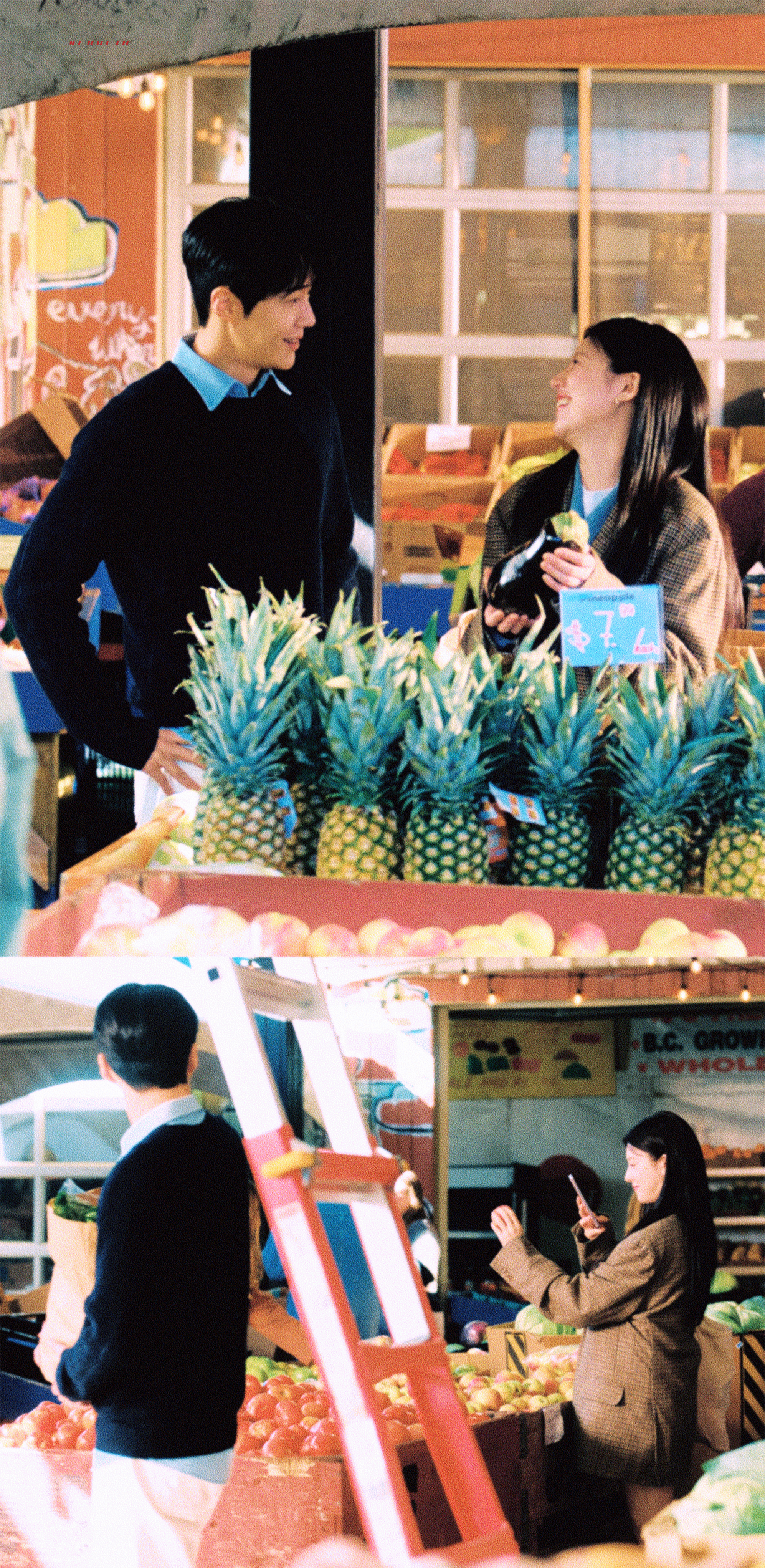 《爱情怎么翻译》 