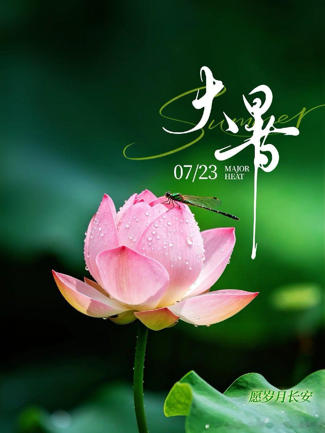 今日大暑。 