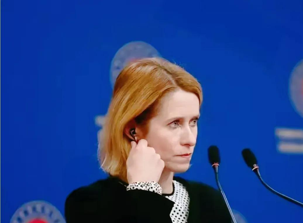 美俄靠边站！
欧盟高调宣示：没有我同意，任何和平协议都无效。
 
欧盟外交高官卡