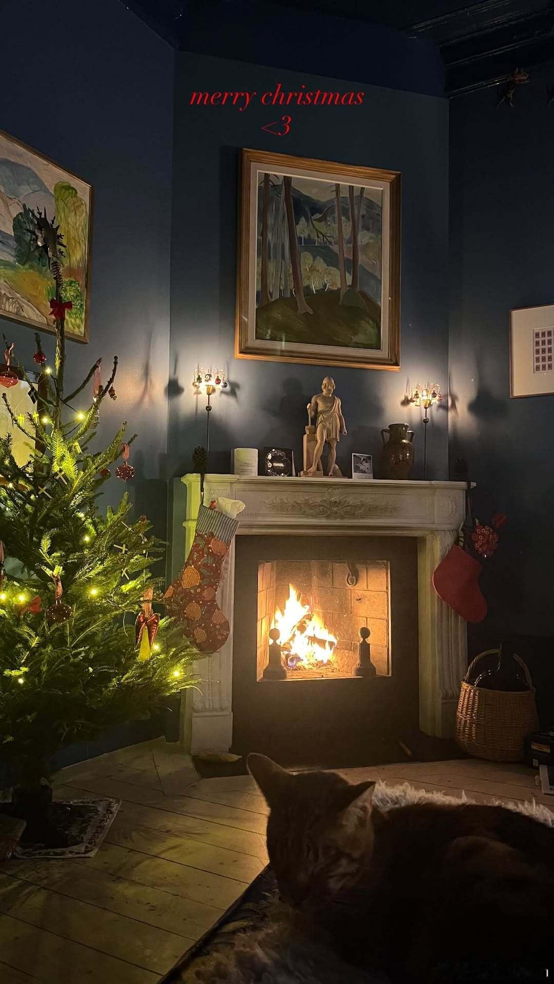 frida  gustavsson弗丽达古斯塔夫松晒照送上圣诞祝福，和猫猫围坐在