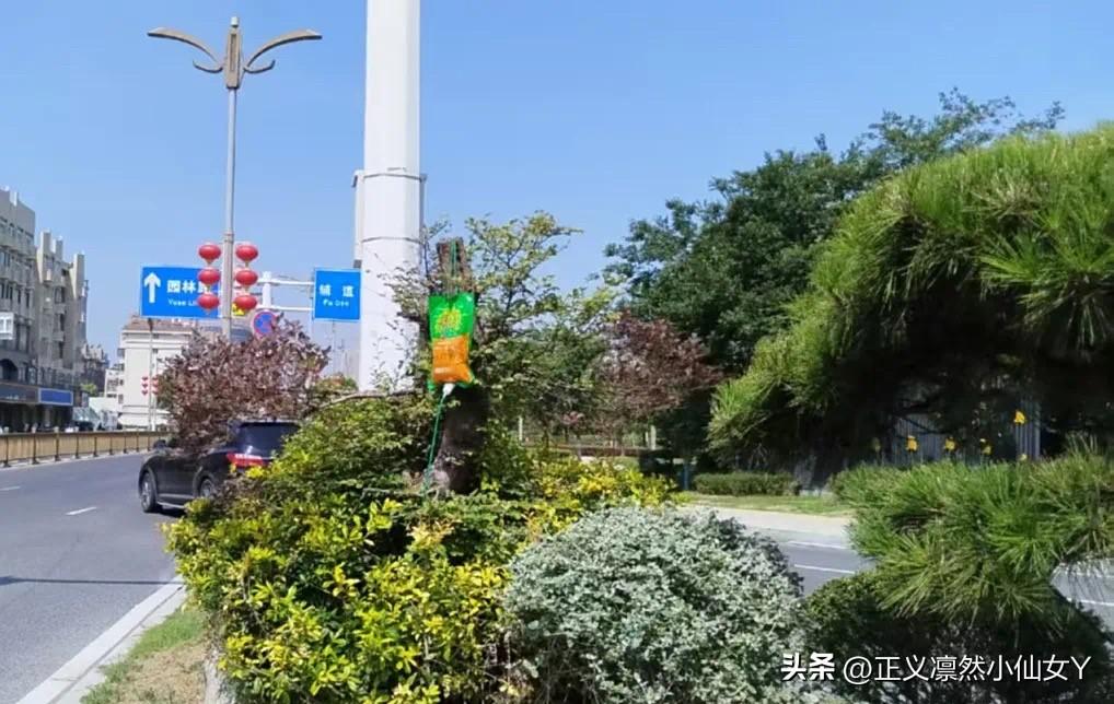 今天的泰兴地表温度达到了40℃，真的是前所未有[捂脸]
大街上行人稀少，都钻在家