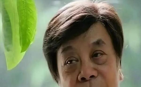“中美关系恶化的责任不在美国，中国应该看看自己的问题！”这句话出自中国教授胡伟之