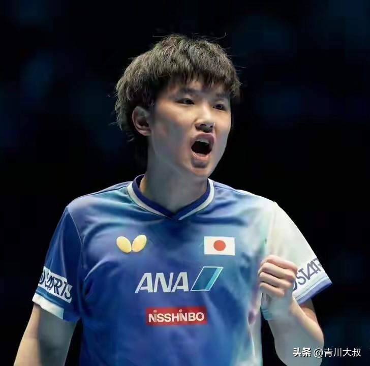 张本智和又不服了，他的对手奥恰洛夫退赛后，wtt立即补位薛飞！

王曼昱对手郑怡
