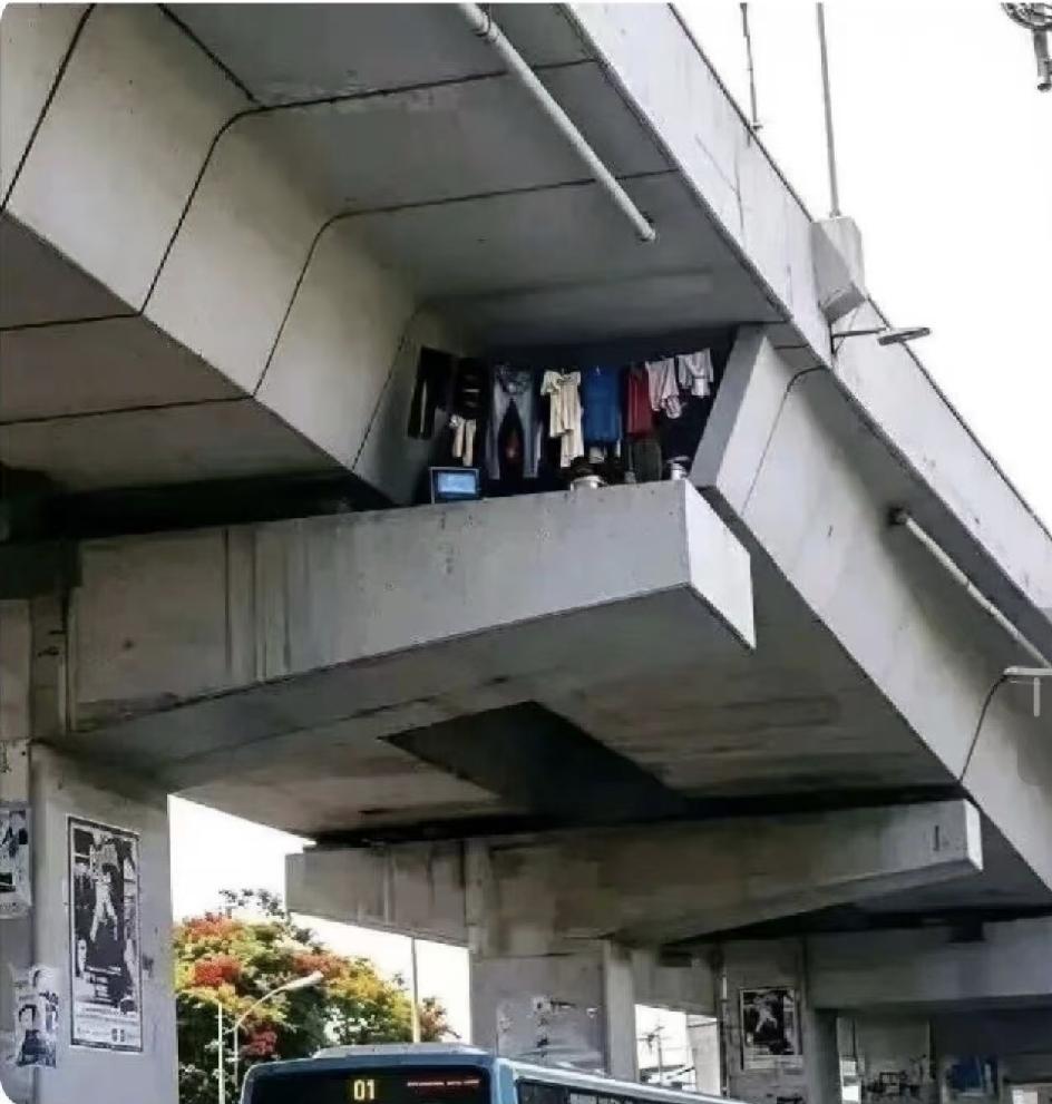 [全新的高度]

这家伙把无家可归提升到了一个全新的高度……字面意义上的。
别问