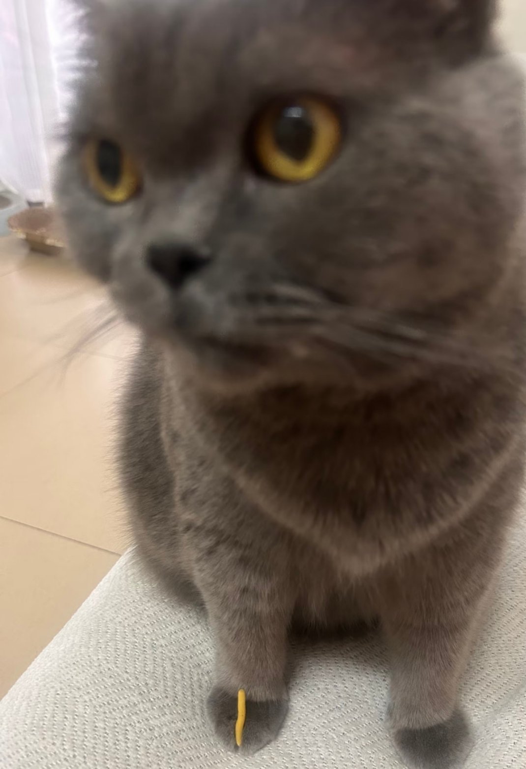 不告诉他能自己发现吗？