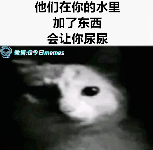 请自便（9gag）今日meme今日memes