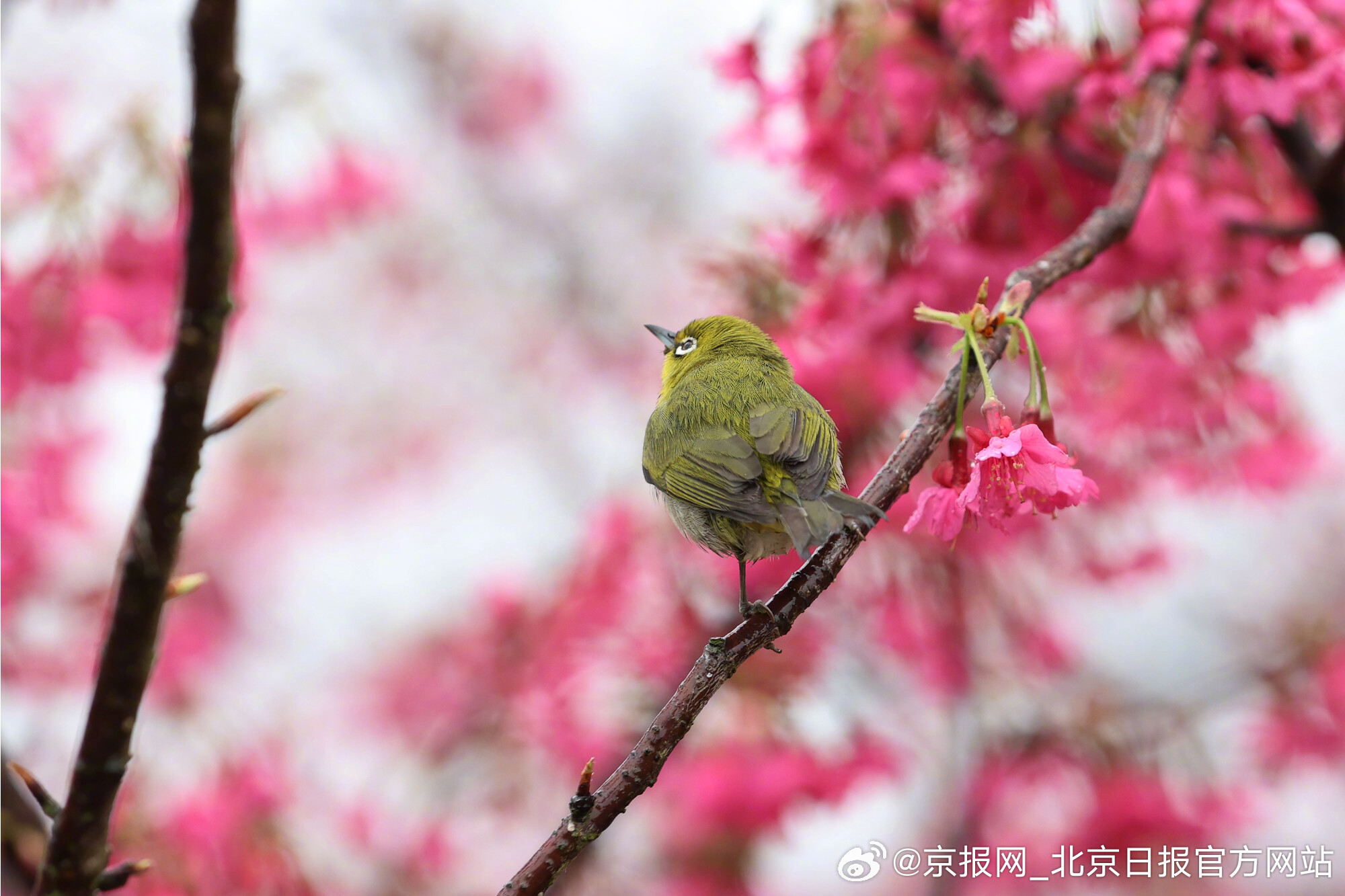 #生活服务提示# 市气象台3日11时发布天气预报：今天下午晴，北风三四级，阵风六