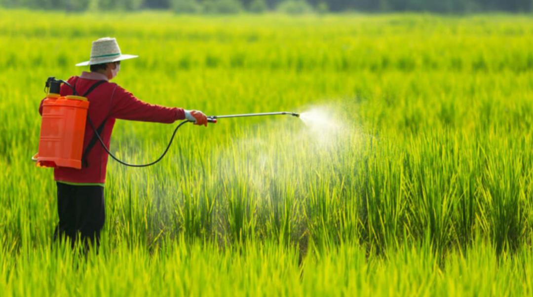 俄缅合作按下快进键！天然肥料厂12月开建