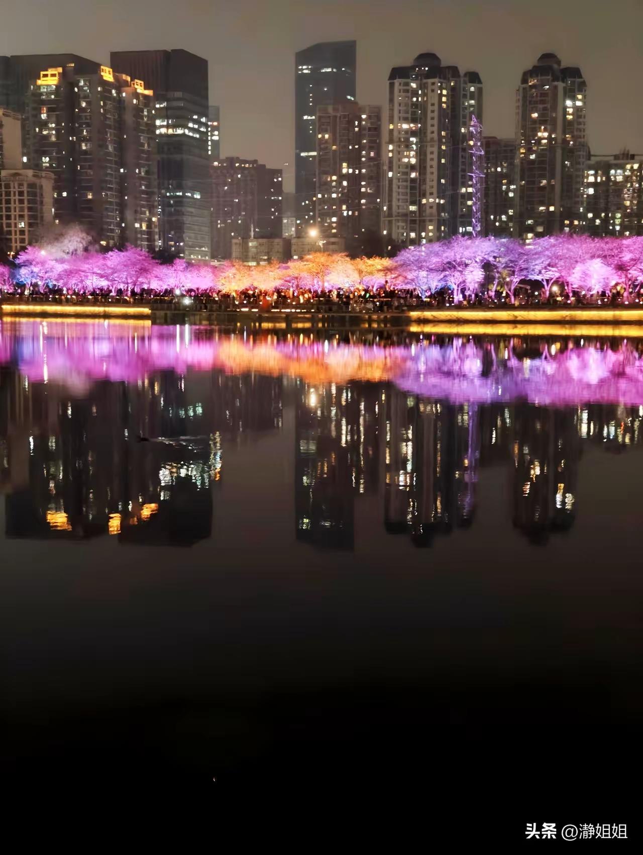 夜樱不输国外，太争气了[玫瑰]