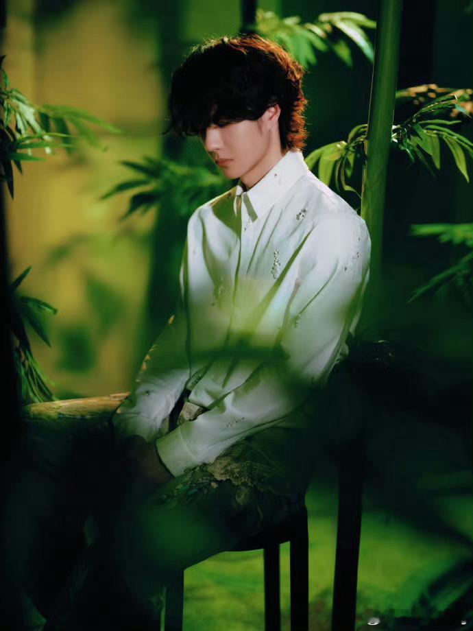 王一博竹影大片王一博 出道十一周年快乐[送花花][送花花] ​​​