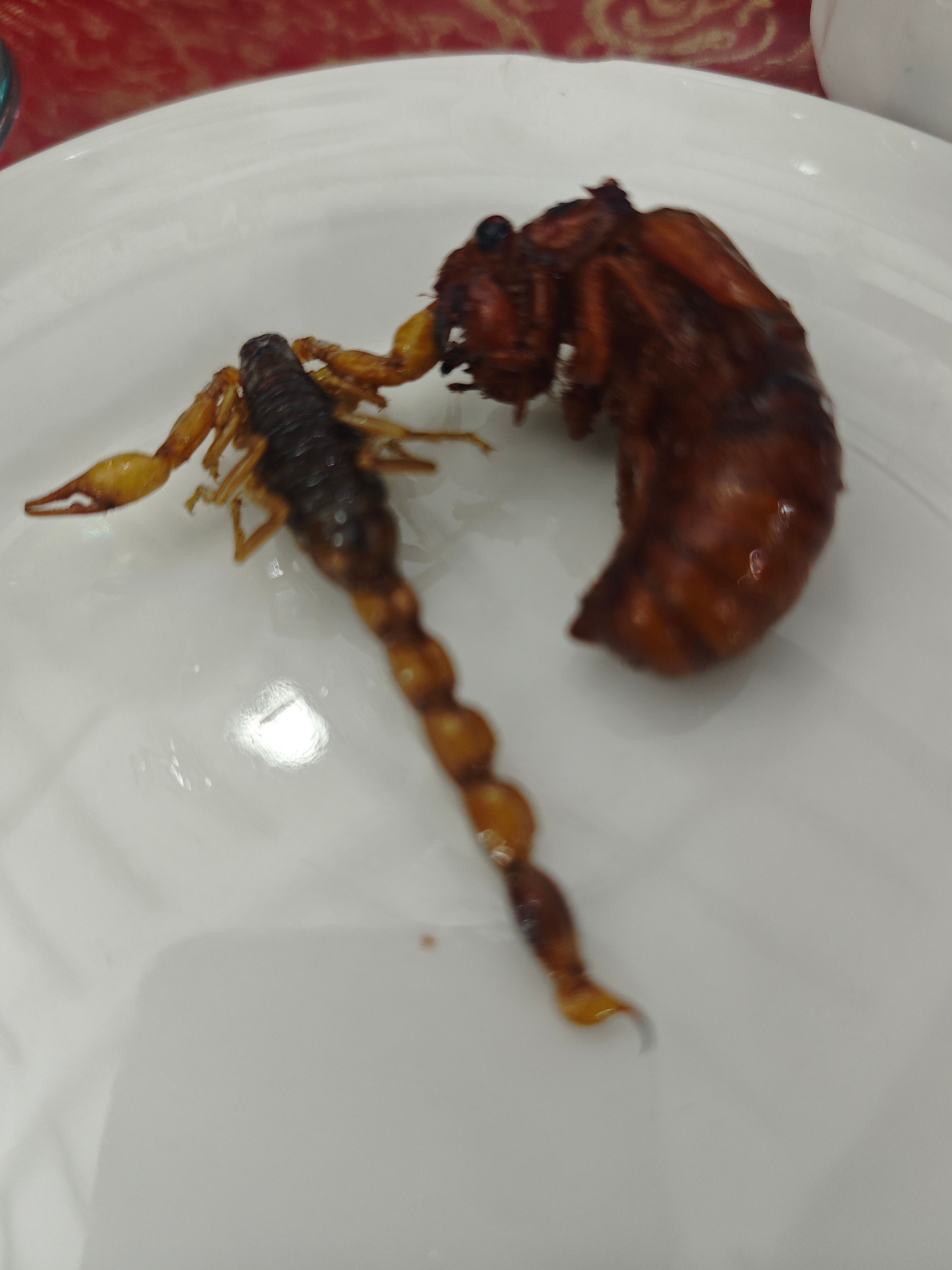 今天晚上的晚饭这菜挺硬啊 临沂