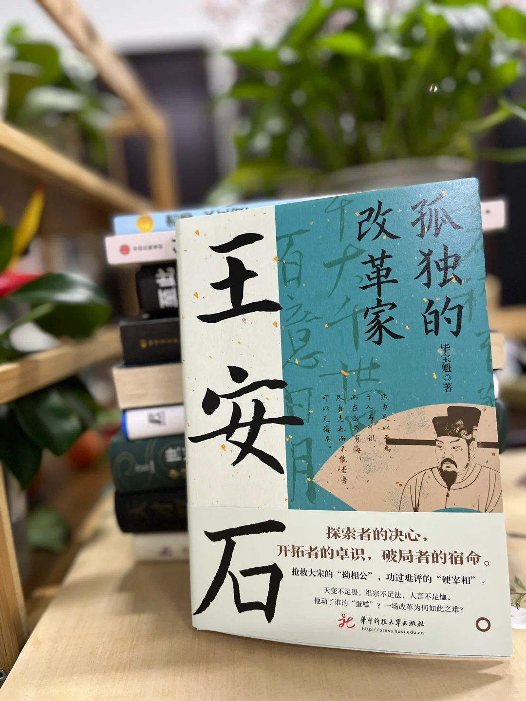 孤勇者王安石，为何背负了几百年的骂名？