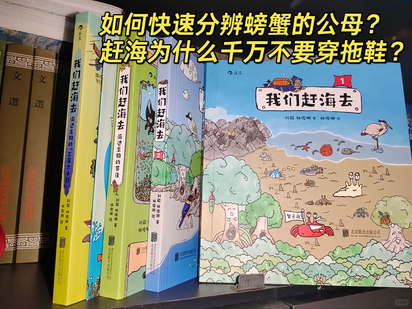 美人鱼可能真的存在哦