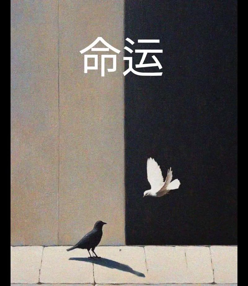 命运啊
就是你生来拿到的那手牌
有人拿到王炸
有人拿到一手烂牌
这就是你的命！