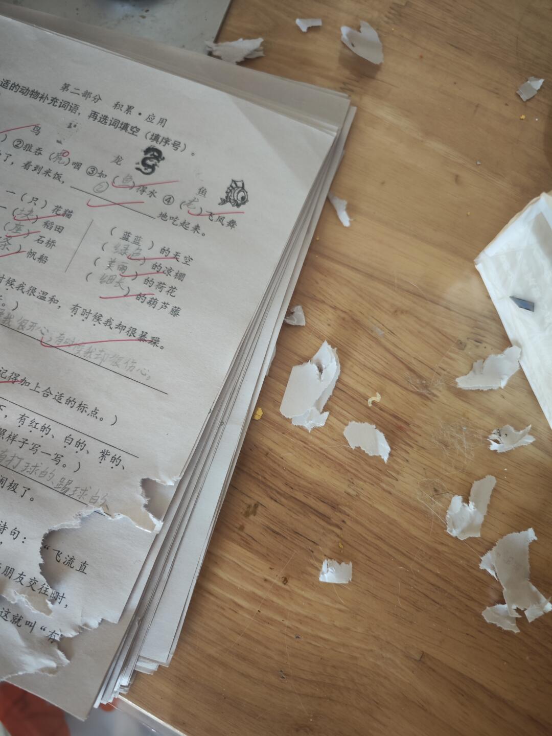 第一次当老师猫咪就把试卷吃了  一口气吃了两个半，不敢睁开眼 希望是我的幻觉..