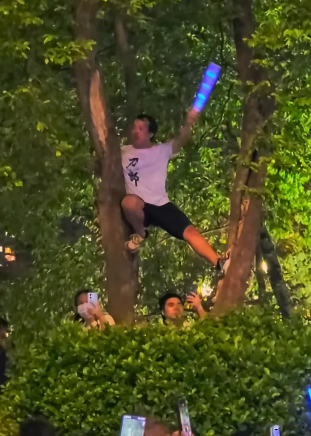 知道刀郎在广州的演唱会火爆到了什么程度吗？
树上都是人！歌迷拿着荧光棒都爬到树上