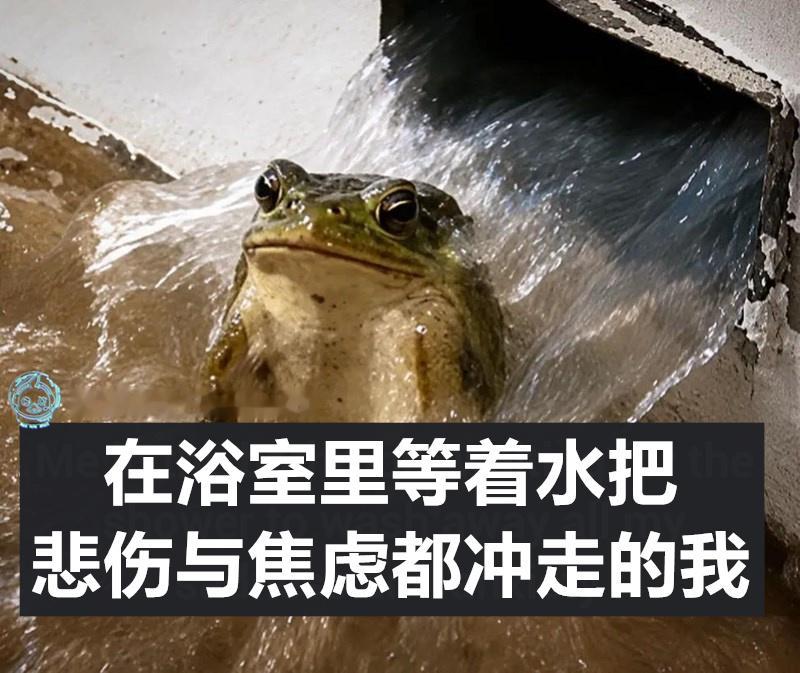 来吧（9gag）今日meme今日memes