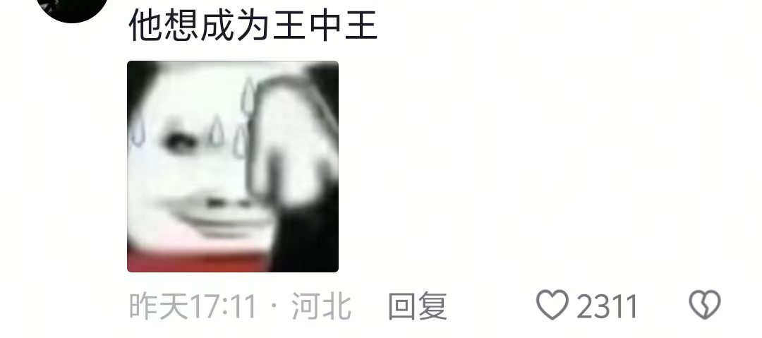 原来是王中王来了，该说不说毫无违和感🤣 