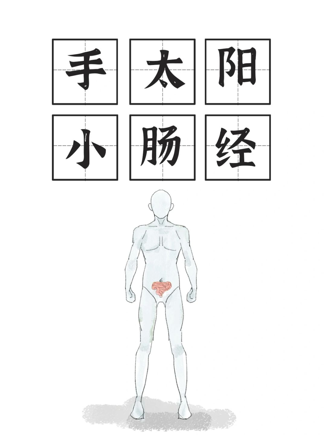 手太阳小肠经-少泽/前谷/后溪