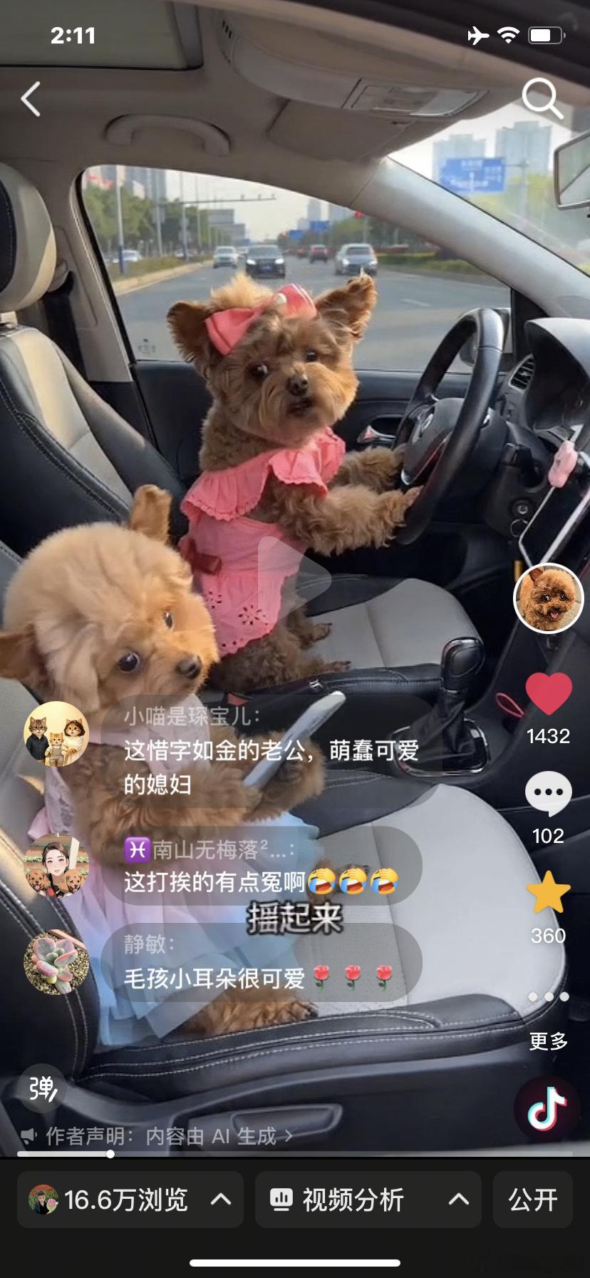 我勒个火真的来啦，吃了好几年饼，终于吃到啦九紫离火