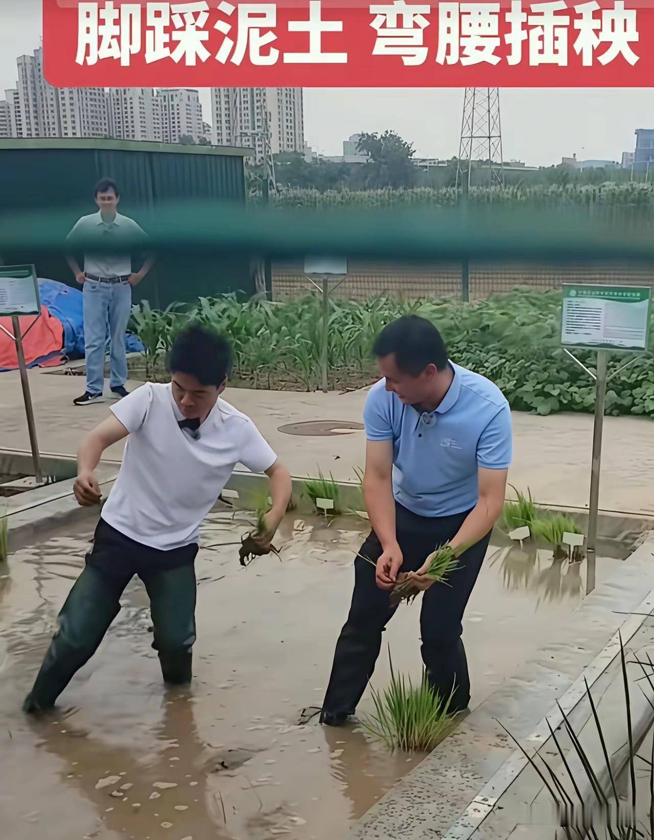 现在真有点"怕"孩子看董宇辉直播，
不是不好看，是太费妈了点。
上次他解剖种子胚