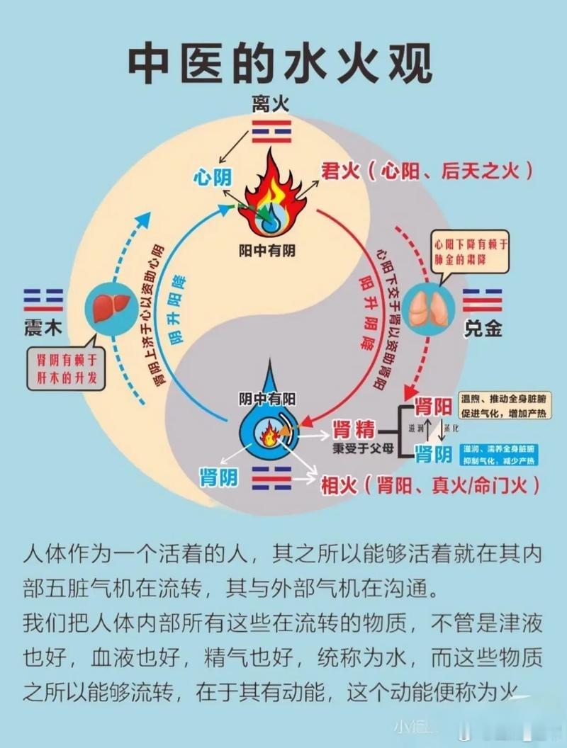 血压升高别慌张！一个被忽略千年的“灭火”古方你是不是也有这样的朋友？或者，你自己