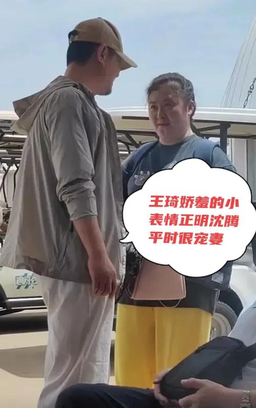 全网都说王琦配不上现在的沈腾❓
可当年的王琦也是靓丽动人片约不断，
沈腾没有火的