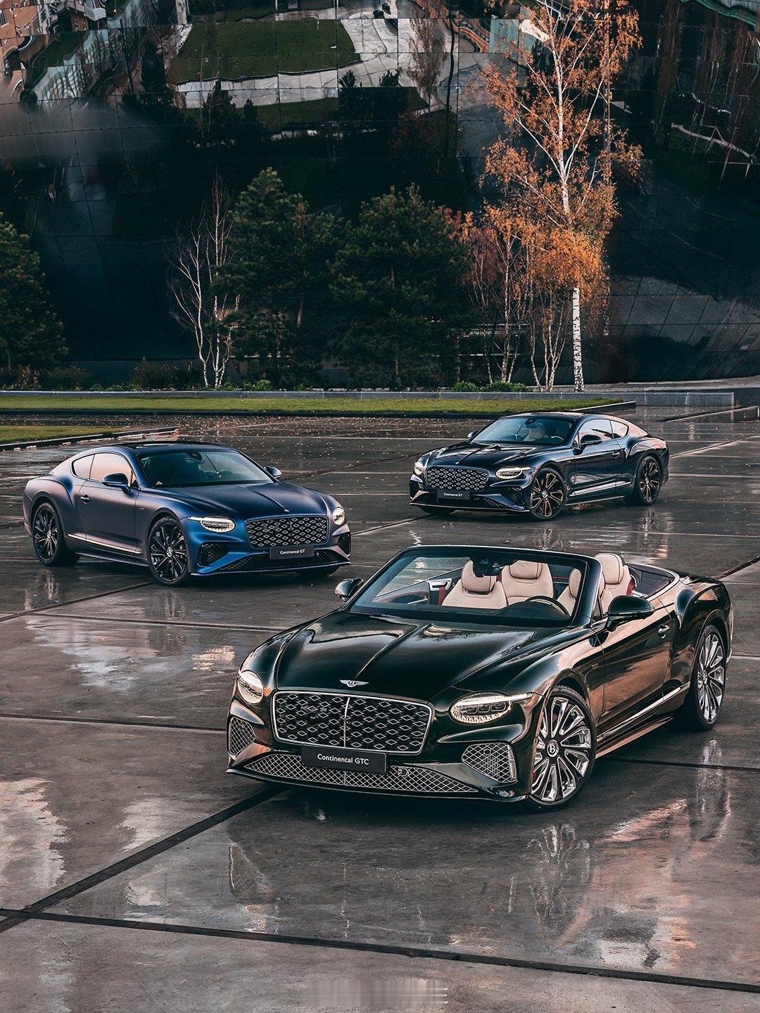 定制版宾利：伦勃朗《夜巡》中深邃的绿色、维米尔画作中明亮清澈的蓝色、梵高画作中鲜