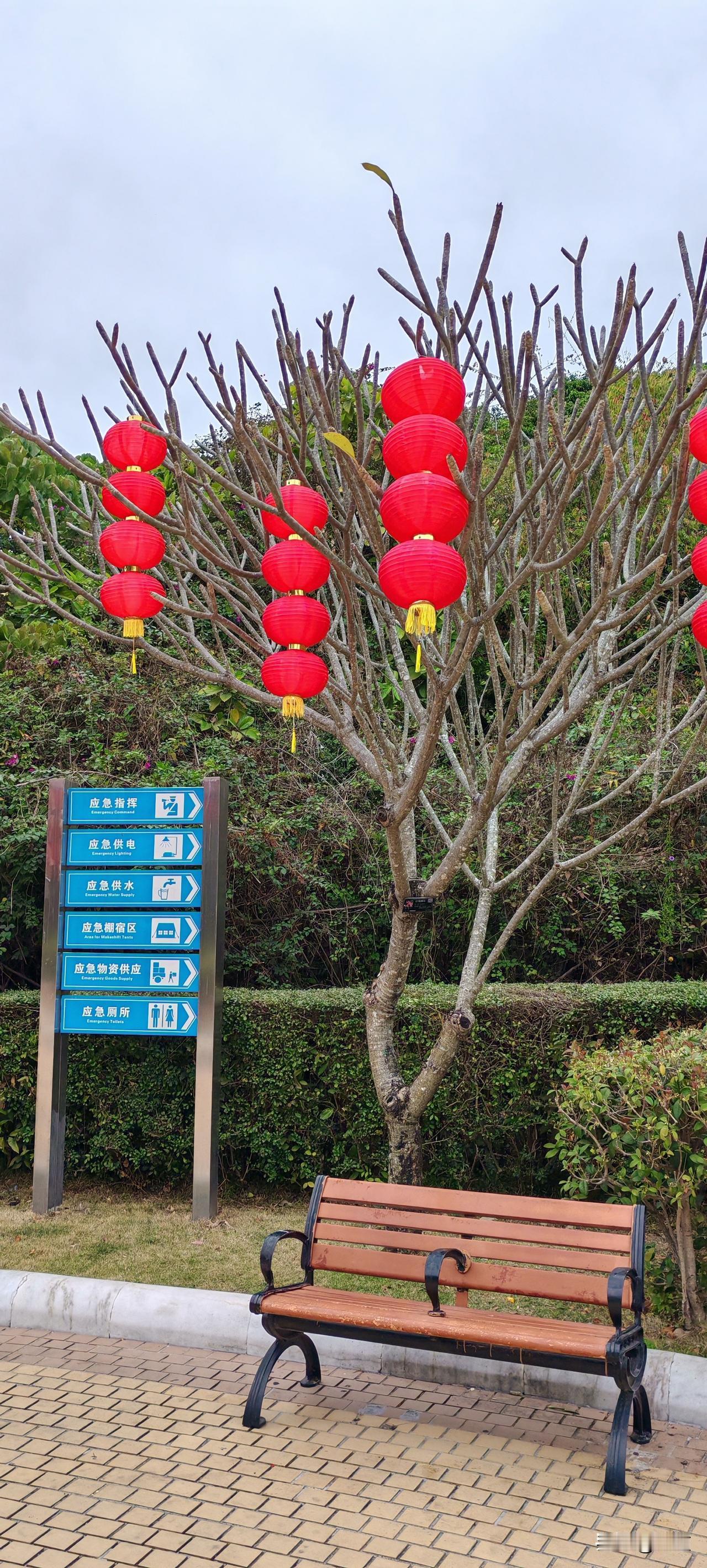 有些二婚女的，遇见一个头婚男的，以为拣到宝儿了，至少没有儿女的牵扯。
兴高采烈的