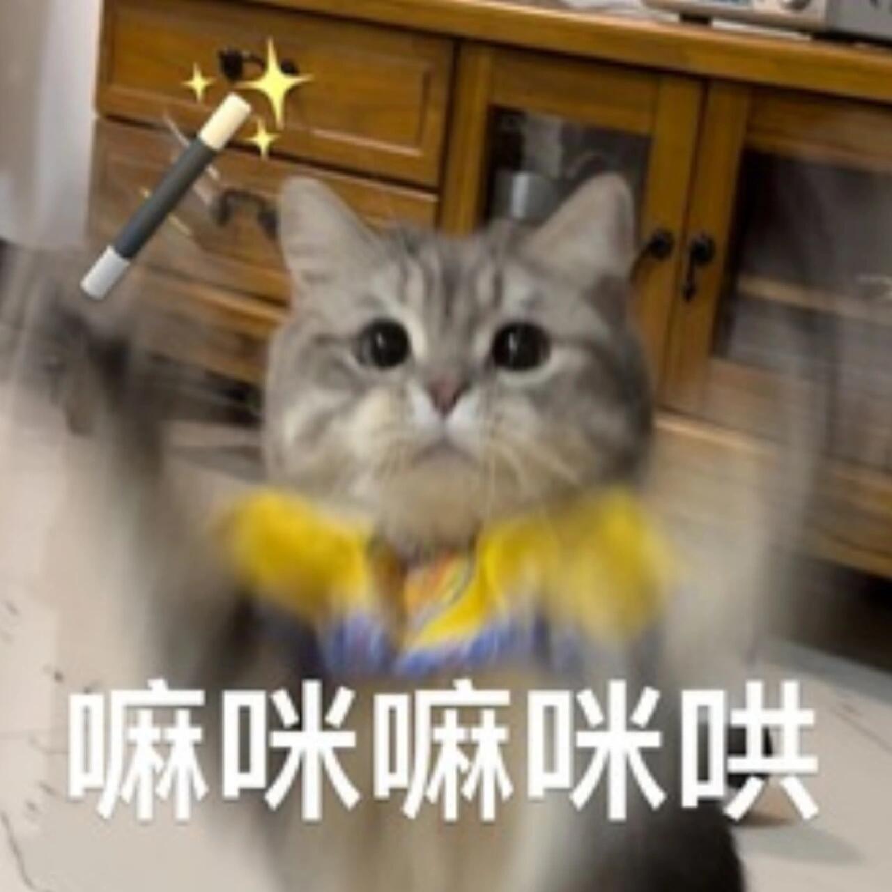 吴宣仪wxy吴宣仪乘风2025 这会儿咱速度慢了下来，十一点半前到六千一吧，这应