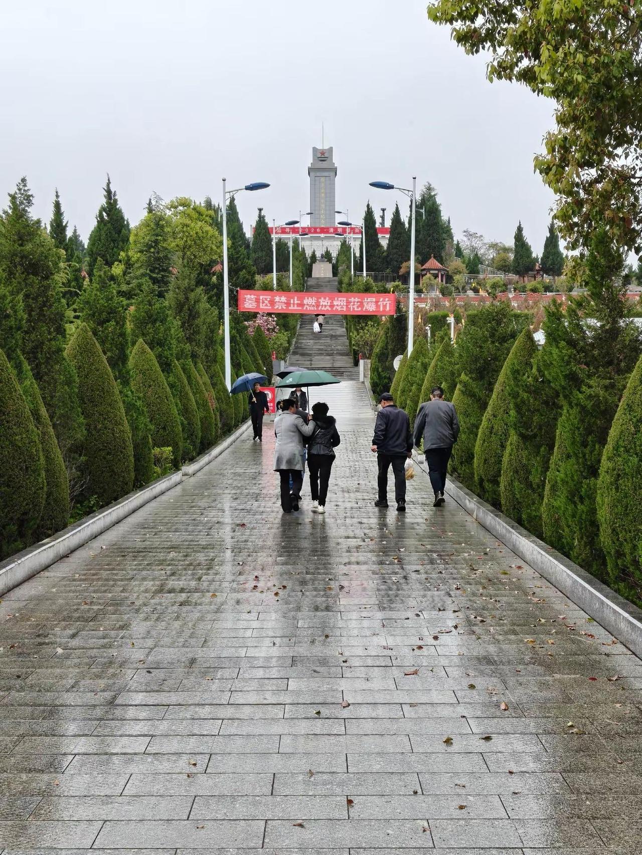 清明时节雨纷纷🙏🏻