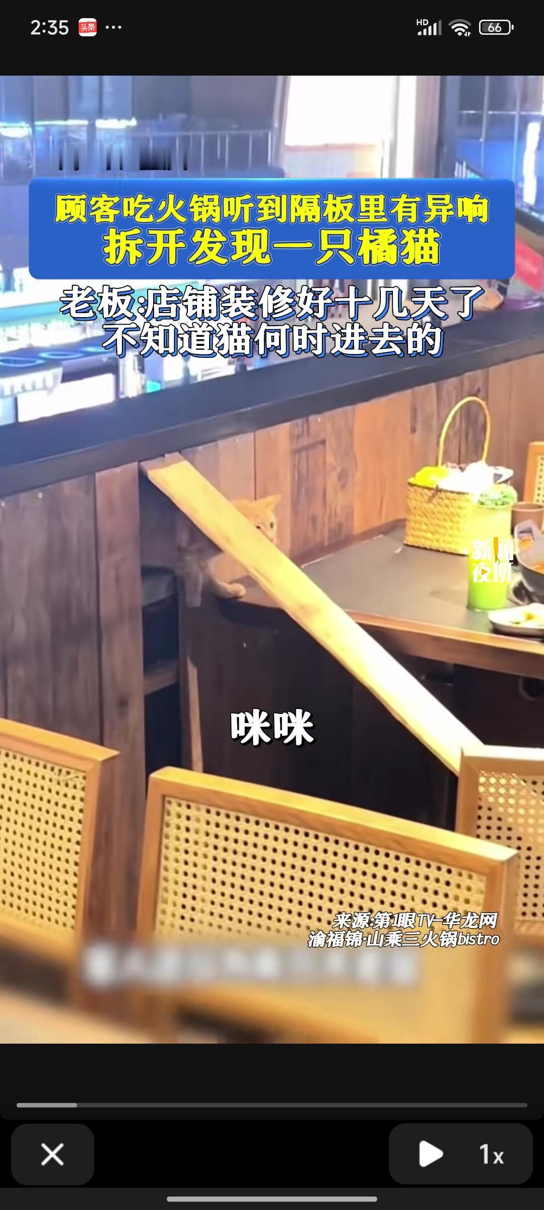 重庆一家火锅店内，有食客向老板反映，座位后方的木板里传出猫叫和抓挠声。老板满脸疑