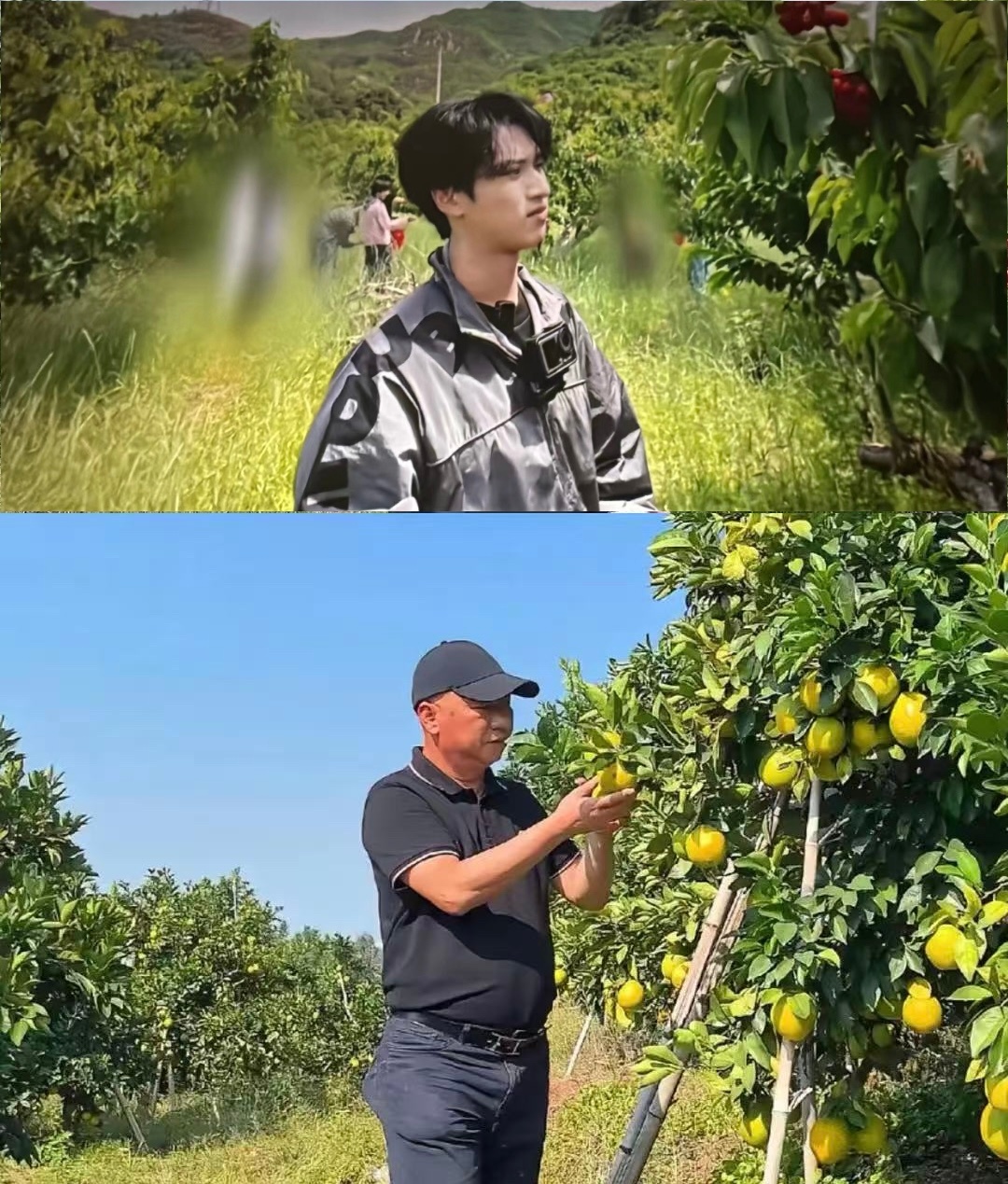 血缘错不了也剪不断 