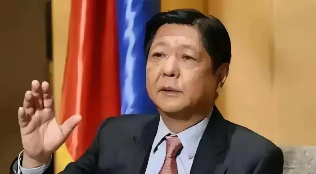 菲律宾遭遇强烈地震后，新加坡自己都没有向菲律宾提供人道主义援助和救灾物资，可是新