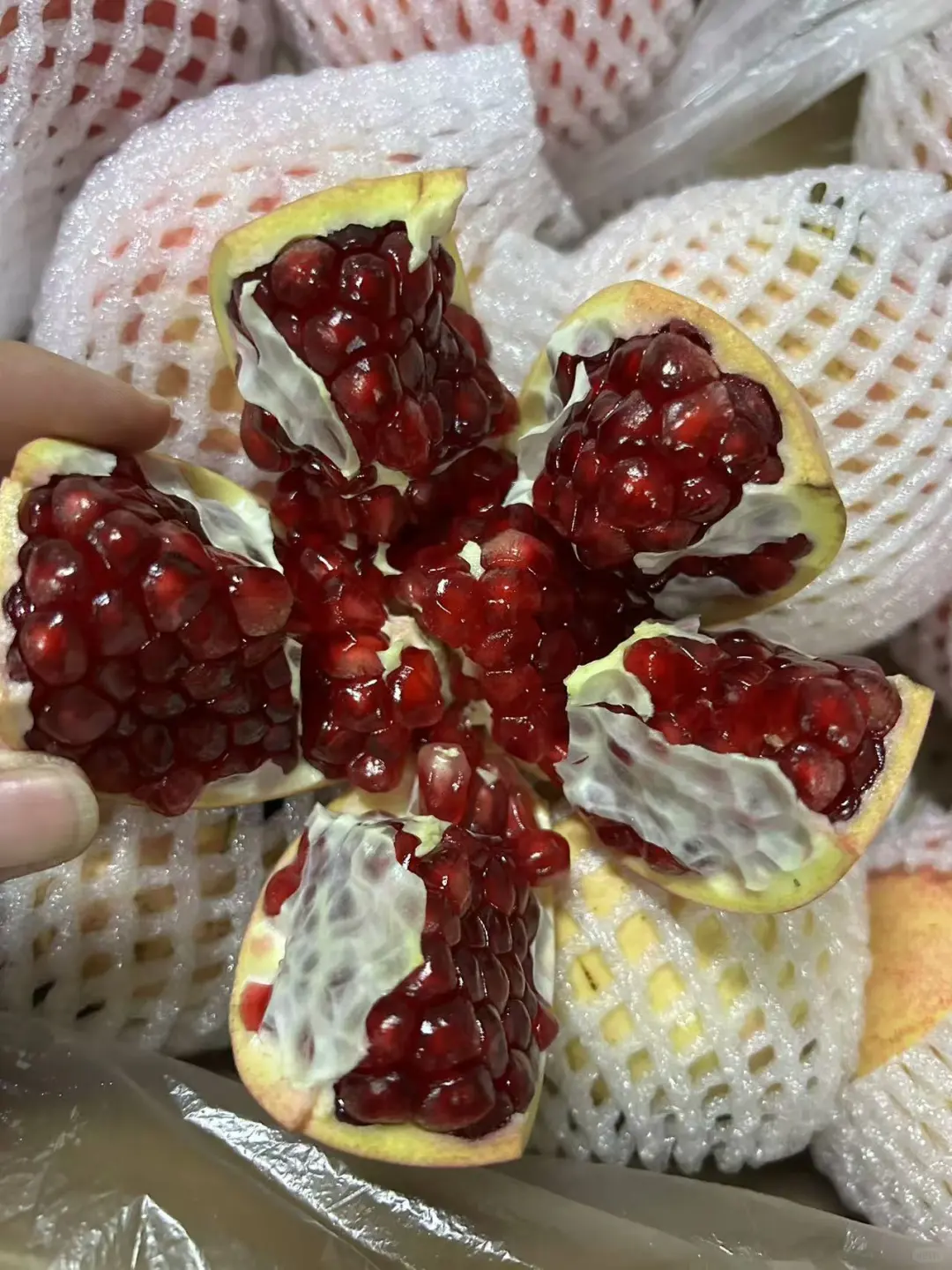 在迪拜实现了超低价“石榴自由”