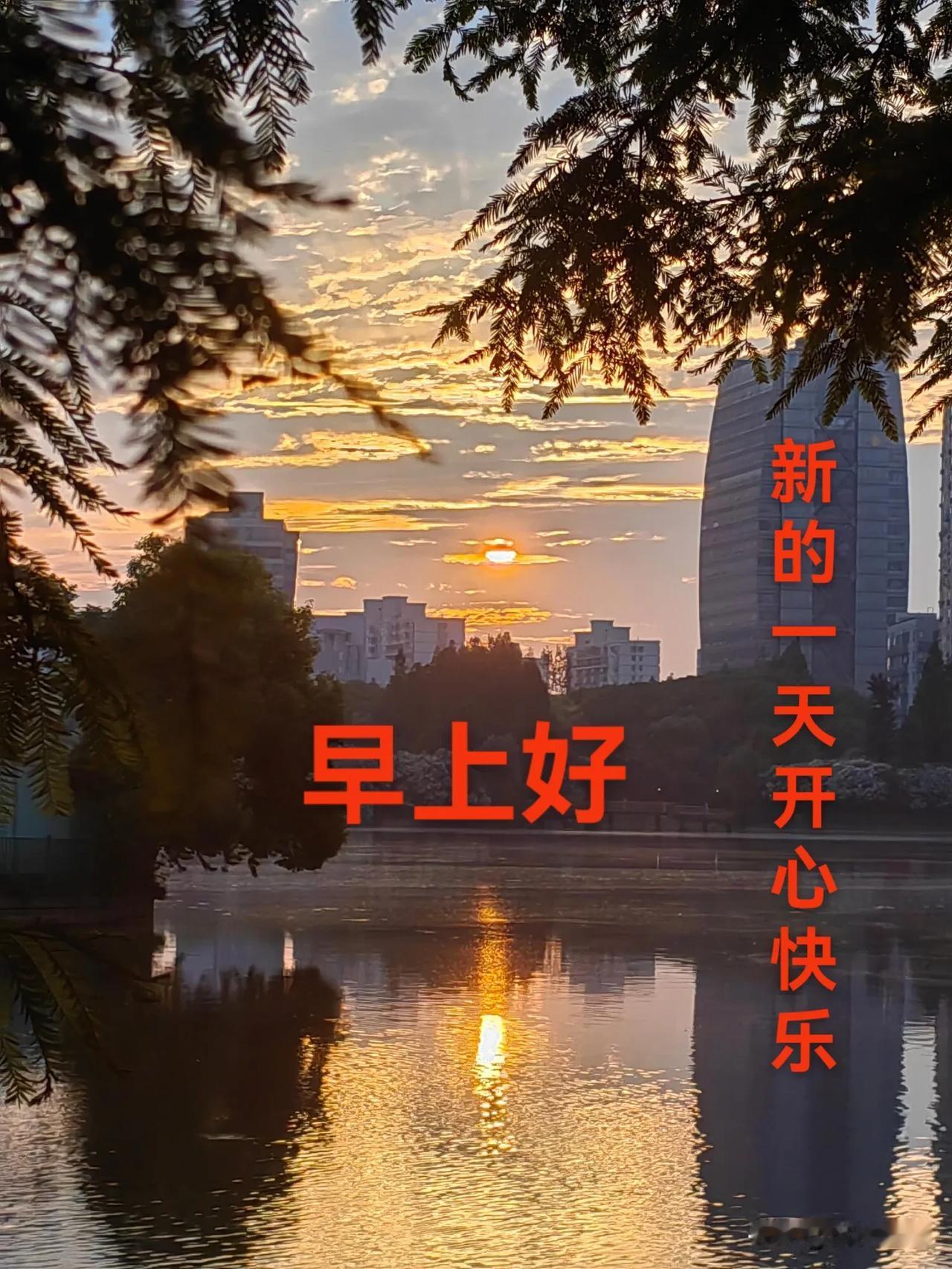 不必焦虑，脚踏实地走好当下，时光终会不负努力。