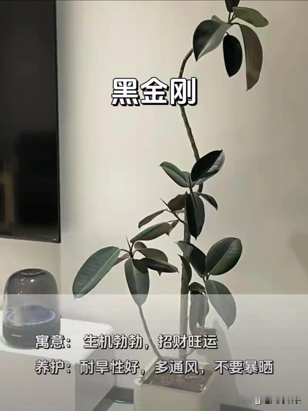 想要做什么，不是说说而已。敢想就要敢做，敢做还要能做，能做就是要会做。想有权，想