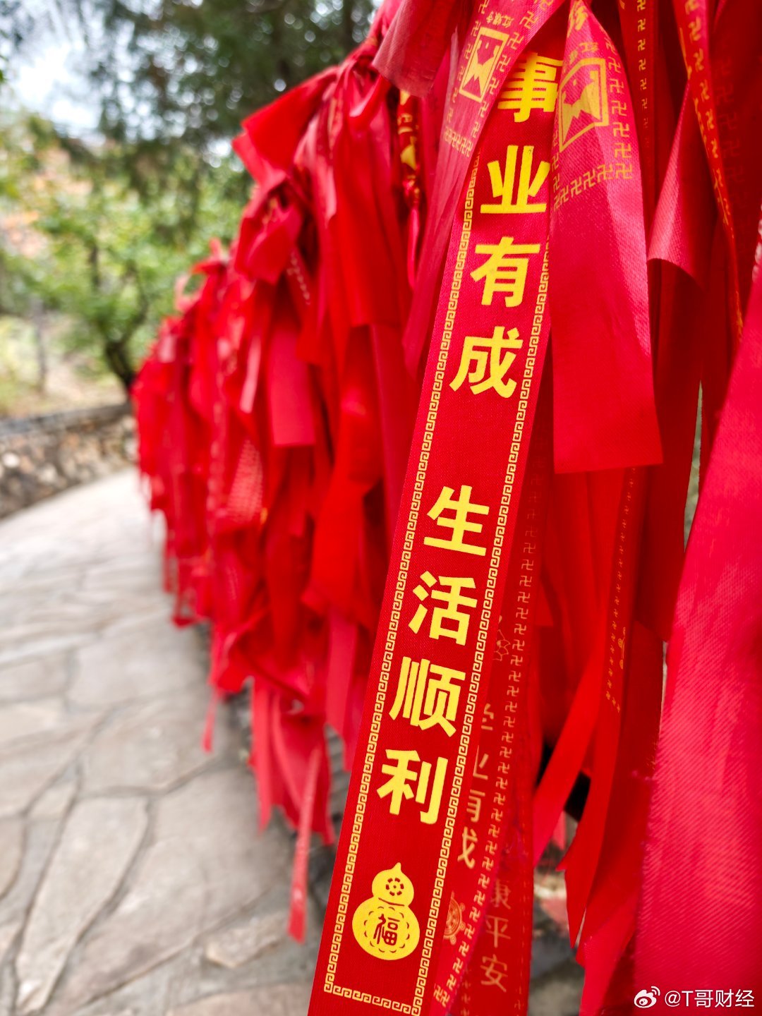 越来越好！  ​​​