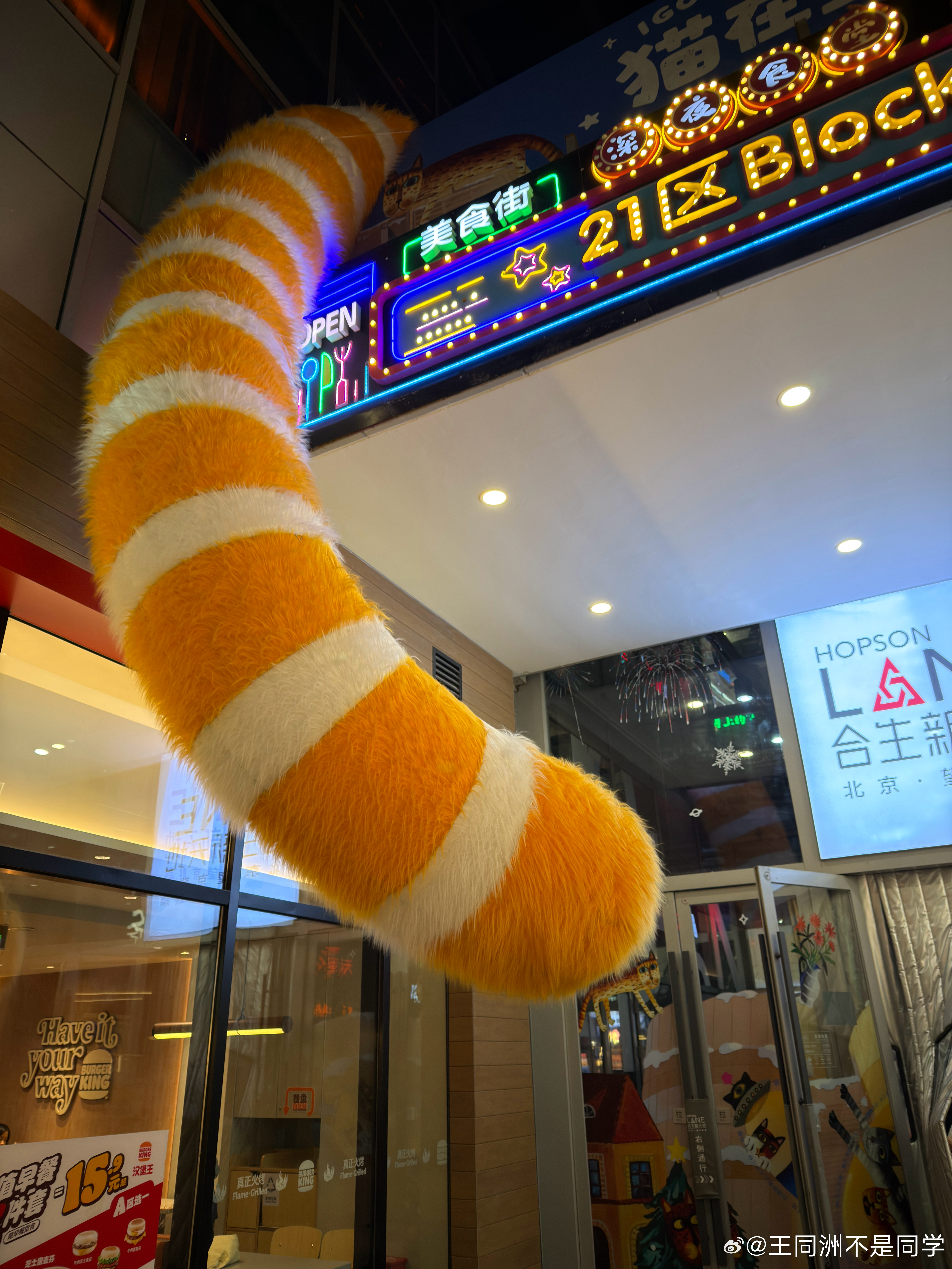 这个世界还是很有意思的巨大Yi巴猫，超小奔驰帽麦麦的喔喔，臭臭的狗爪我和汽车的日