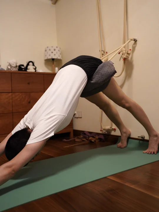 『上犬式』为何是『下犬式』的准备？【2】