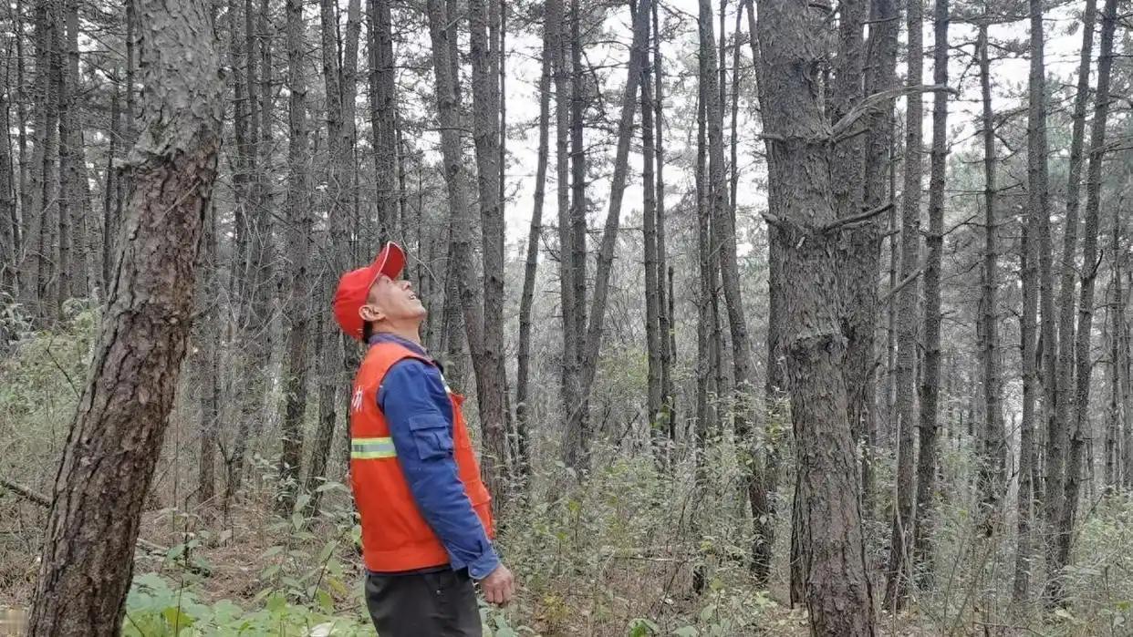 山里有个老护林员老王，守着一片国有林场整整四十年。
早年山路难走，补给全靠自己背