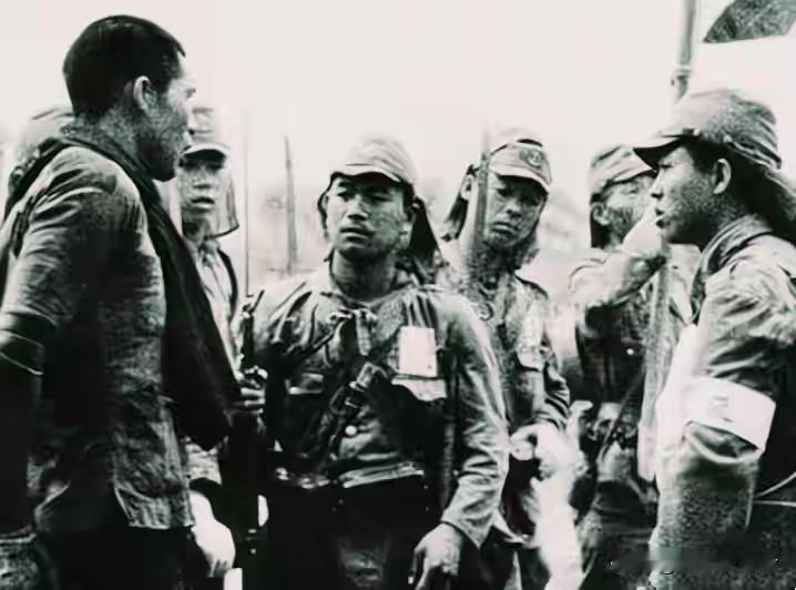 民国二十七年的初秋，永修县虬津镇的老樟树还没泛黄，燥热的风里就混进了不祥的气息。