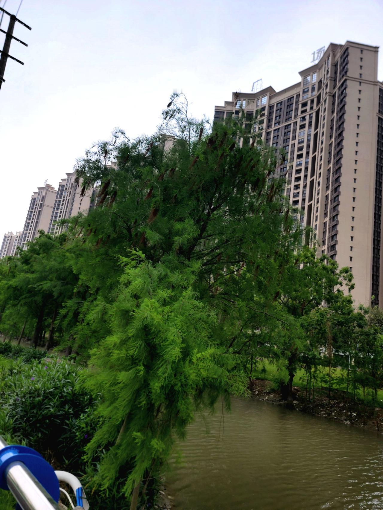 今天带着一个好朋友去办事儿！