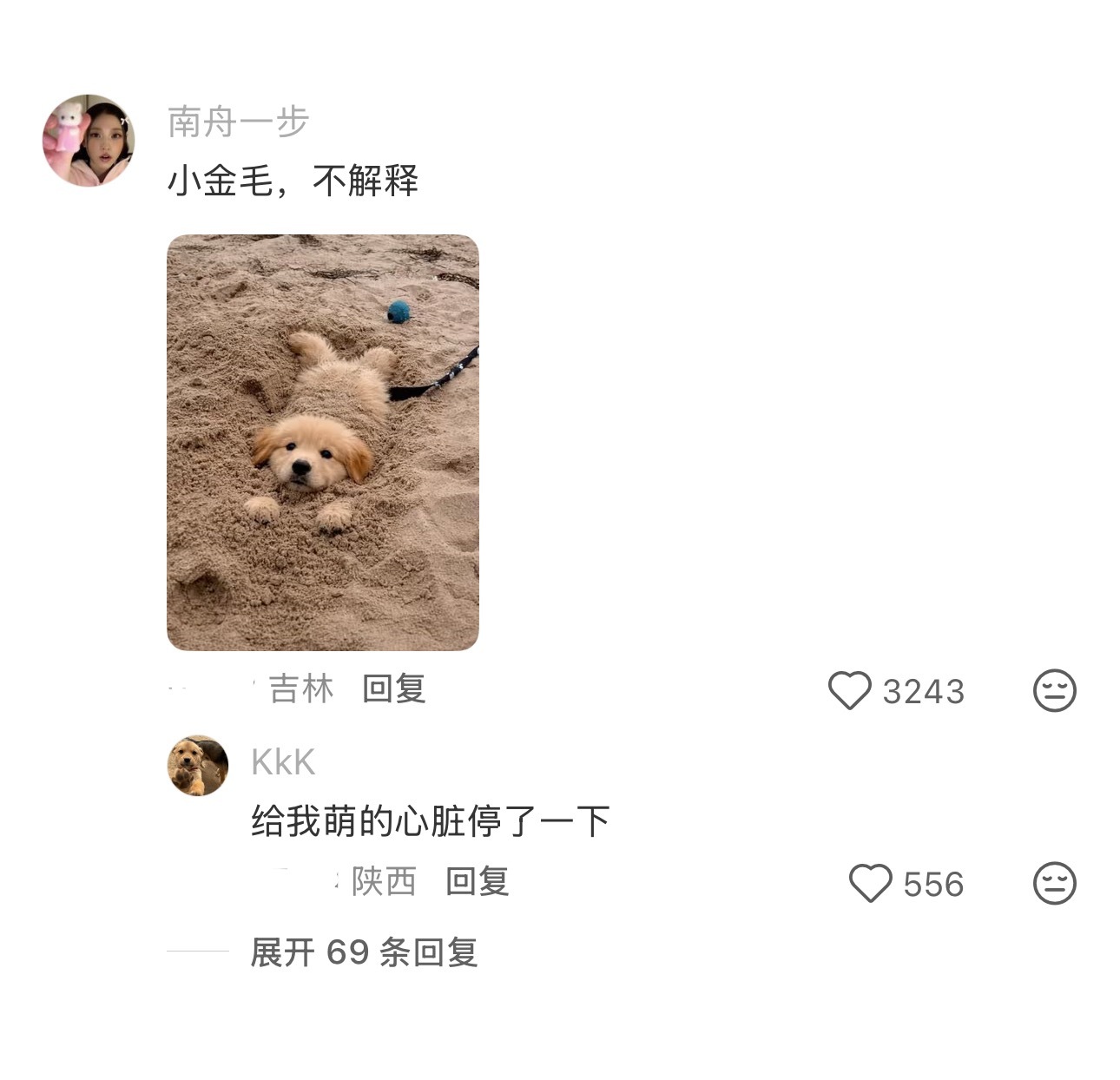 小狗是世一萌吗 