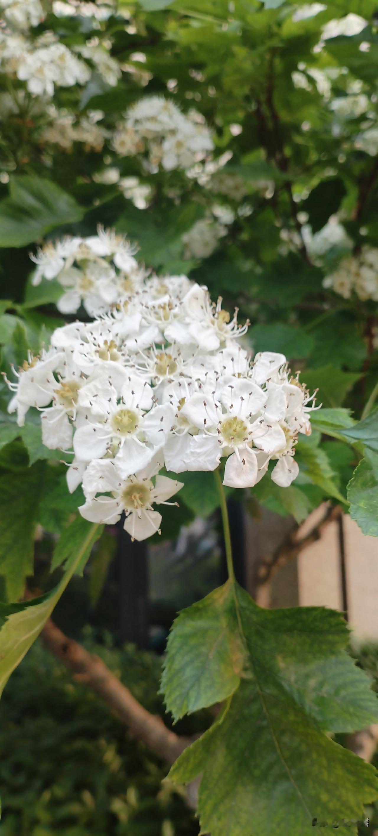 撤掉不属于我的皮，这句话冲上热搜！

中午摸鱼刷到舞者杨思宇的相关表演片段，真的