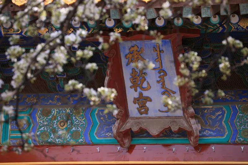 梨园春雪
东君挽柳换新妆，
几树梨花竞海棠。
近水伊人扶小朵，
笑容可掬细品香。