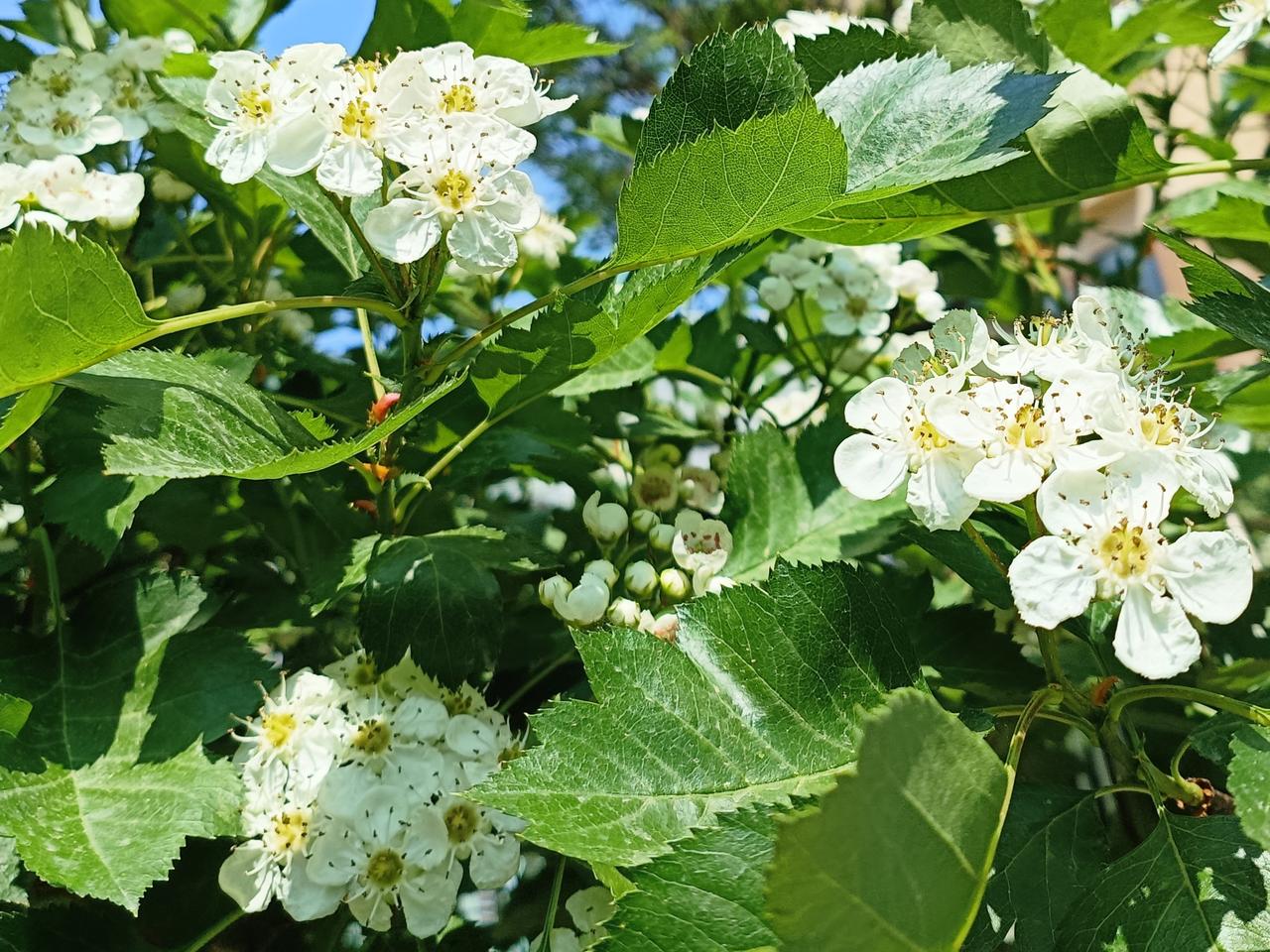 人这一生，会相逢无数人。

有人相伴成知己，有人擦肩是过客；有人陪你走完余生，有