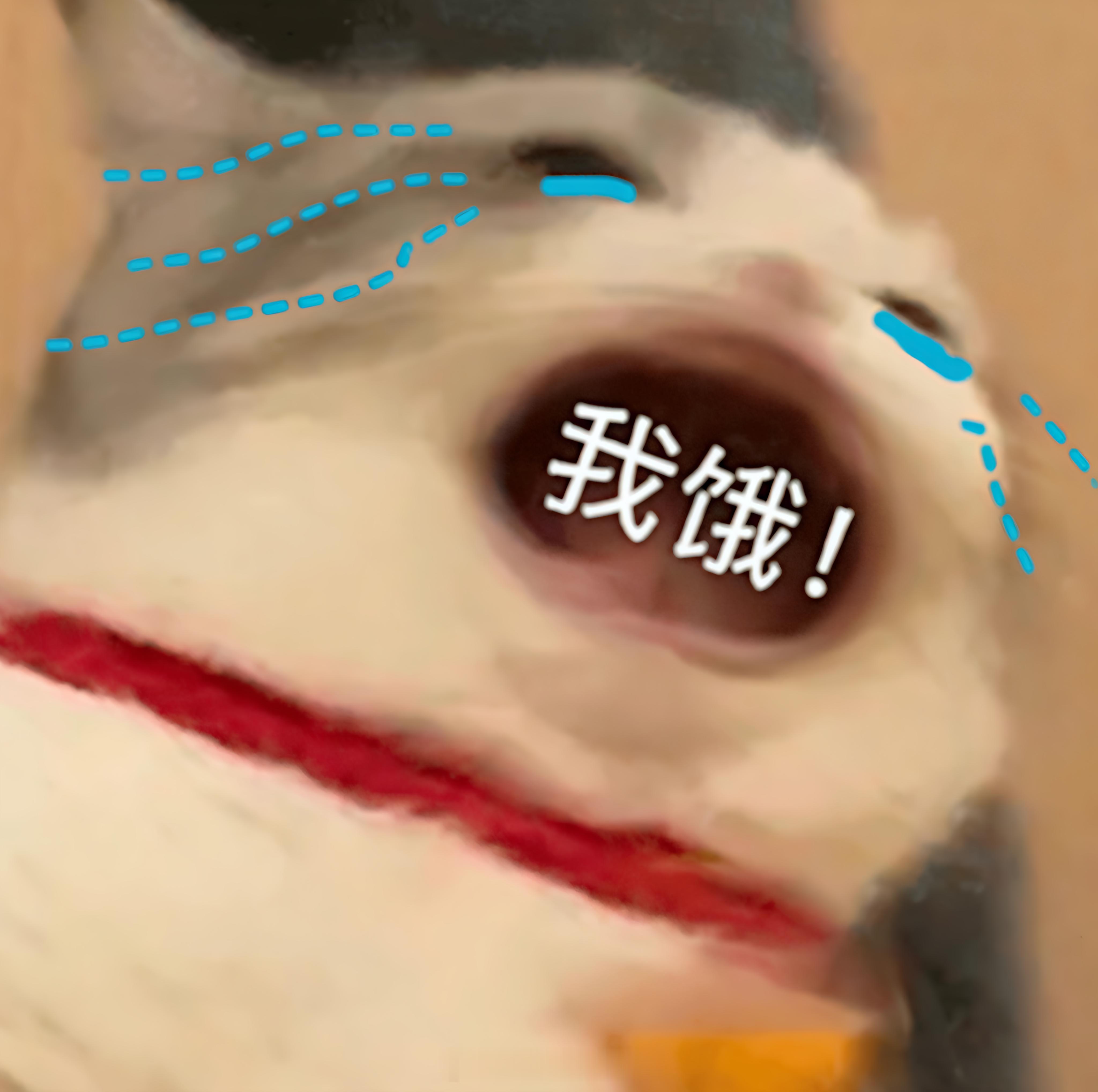 别让生活耗尽了你的耐心和向往你还有诗和远方排骨和汤 烤肉和馕 虾和蟹黄火锅和麻辣
