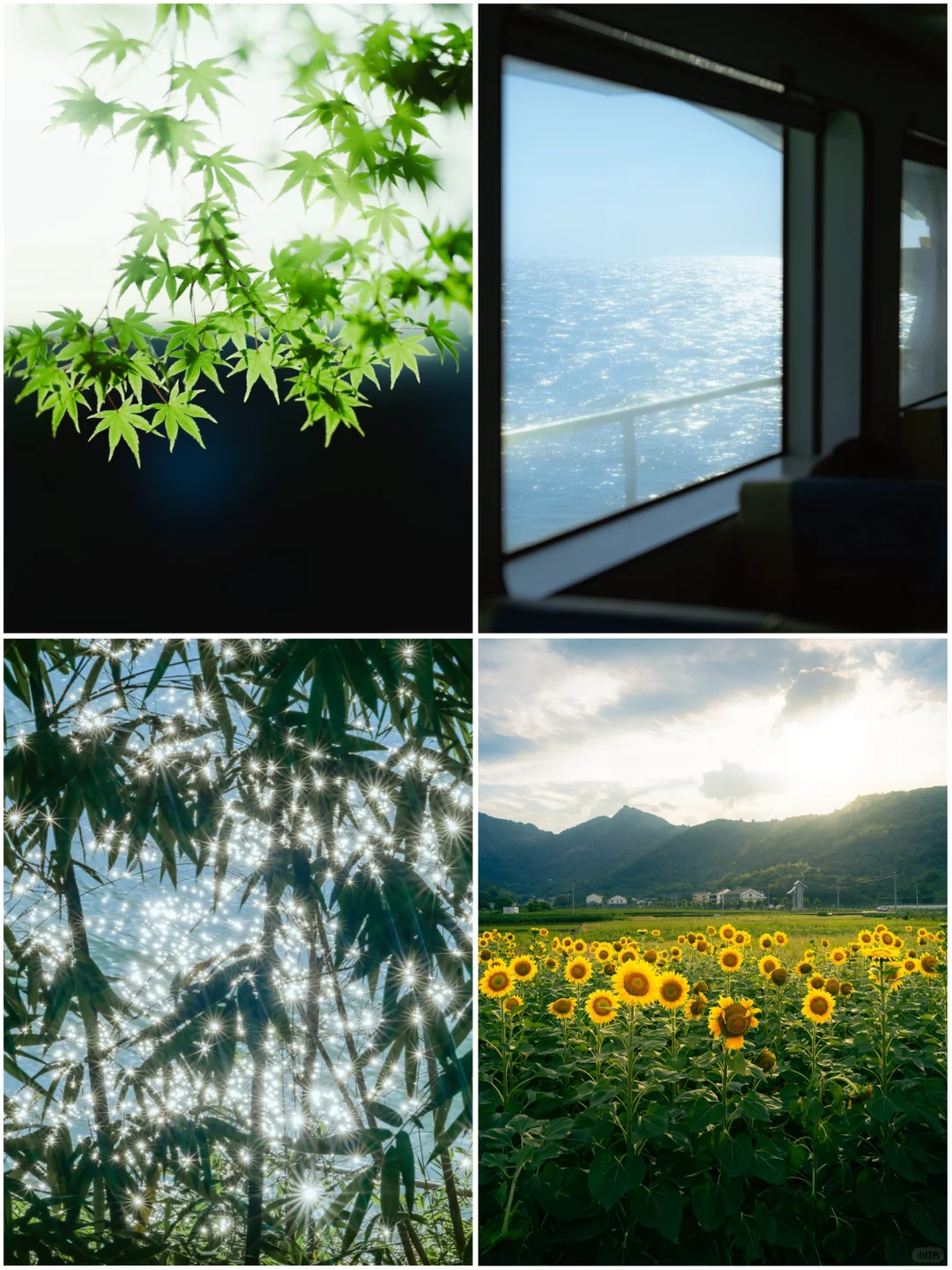 生活影像诗 | 那些无法复制的瞬间📸